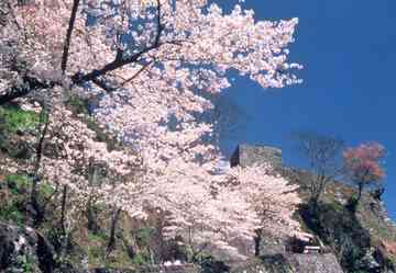 岡城阯