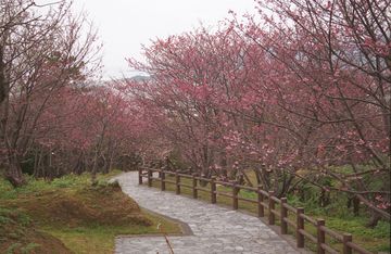名護城公園
