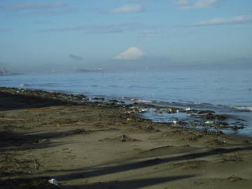 富津海岸潮干狩り場