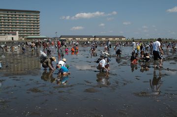 金田海岸潮干狩場