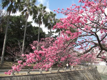 与儀公園