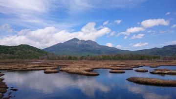 尾瀬ヶ原