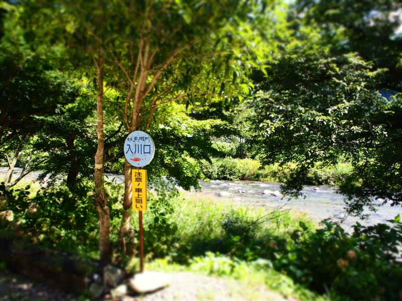 田舎の綺麗な川辺です♪
