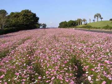 鹿屋市霧島ヶ丘公園