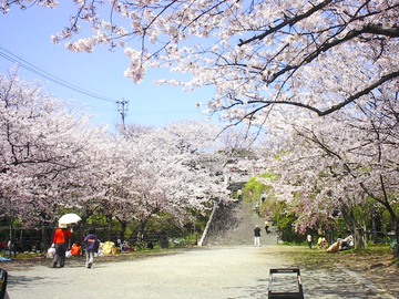 西公園