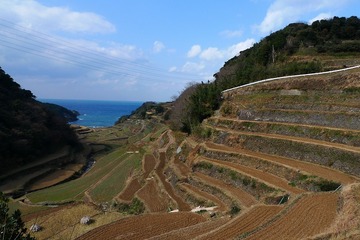 浜野浦の棚田