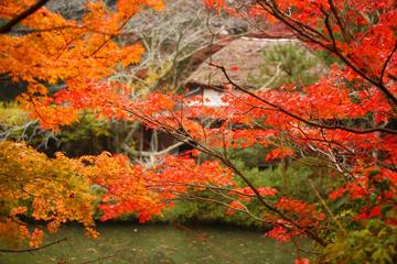 御船山楽園