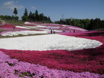 羊山公園