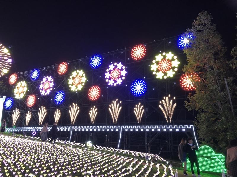 冬花火