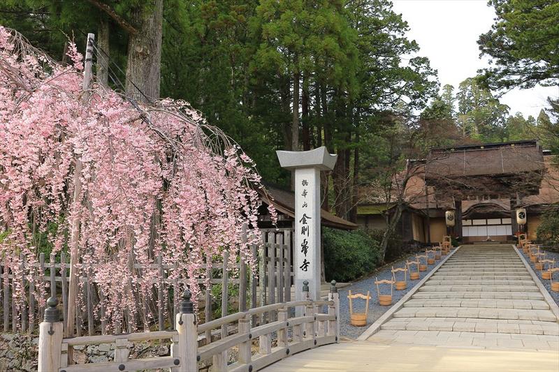 高野山