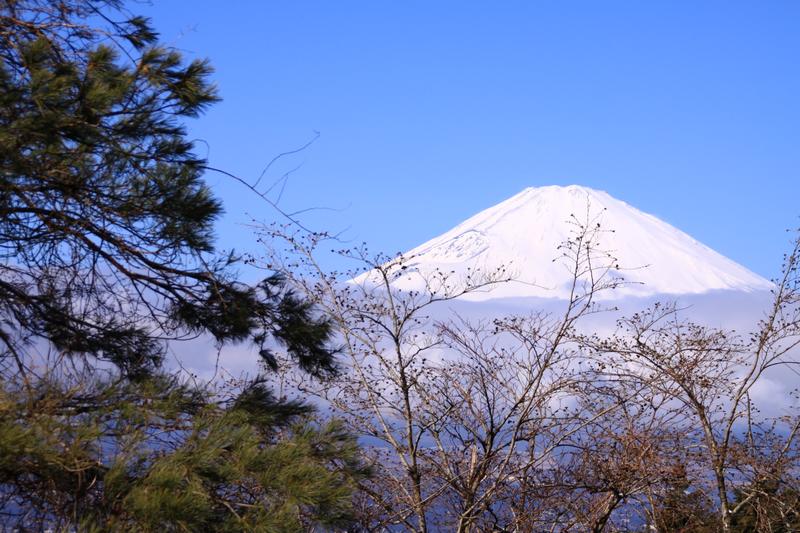 乙女峠から見る晴天の富士山