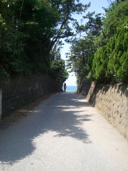 岩井海岸への道