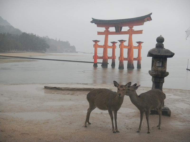 厳島神社のひとなつこい鹿たち