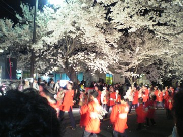 夜桜のトンネルでの　さくらyosakoiです プレサージュ　CⅢさん