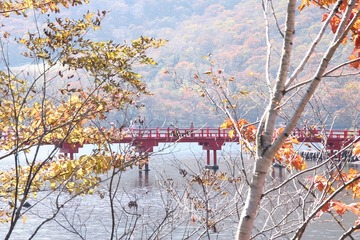 大沼に浮かぶ赤城神社への赤い橋 ｎｏａさん