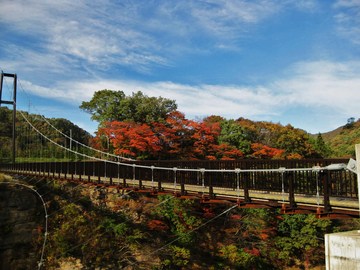 スパッシュランド大吊り橋と紅葉 ＲepliＣarさん