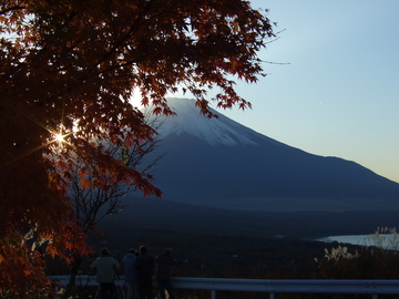 赤く色づくもみじと雪をかぶった富士山 もみじさん