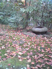 風情のある庭の紅葉が最高！ ぷりんさん