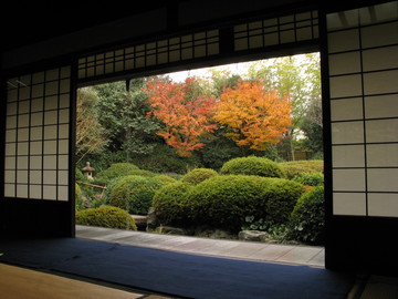 秋色の日本庭園・・・癒されます！ fishさん