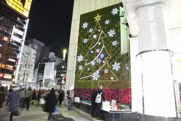 高さ約10mのウォールアートのクリスマスツリー TIIDA BLOG スタッフさん