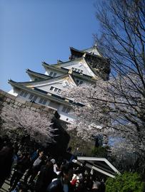城と桜 Akiraさん