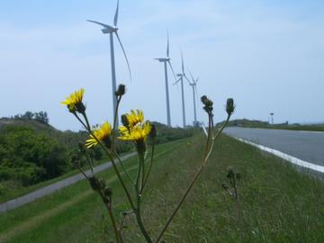 風力発電の風車が並んでいます XAXさん