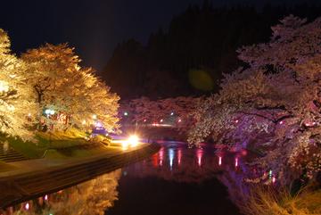 川沿いの夜桜 Ｕｍｉさん