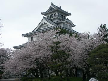 お城と桜がすばらしいです。 ムネさんさん