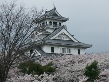 桜とお城がきれいです。 ムネさんさん