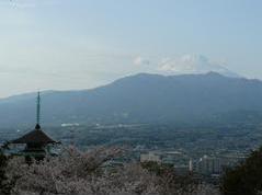 ソメイヨシノと富士山は相性がいいです Tadashiさん