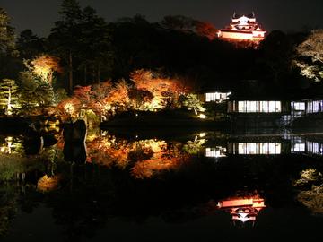 ライトアップされた彦根城と水鏡に写る逆さ城 先祖は源氏さん
