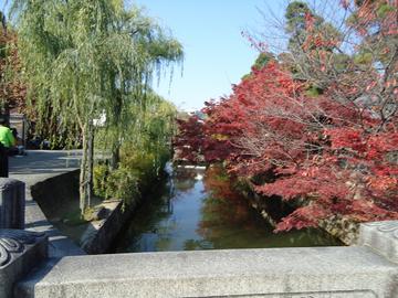 橋の上から見る川には紅葉も映る FDさん