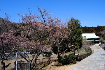龍宝寺（鎌倉）