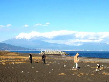 雲たなびく富士山と、青い海！！ ミミさん