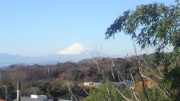 富士山が綺麗です じいさん