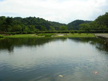 錦鯉が泳ぐ庭園。比叡山も見れますよ。 ∞さん