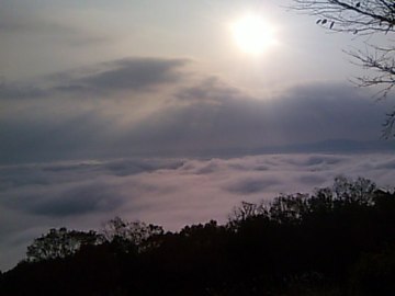 霧の海展望台