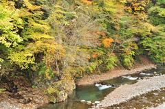 中津川渓谷最奥部、彩の国ふれあいの森
