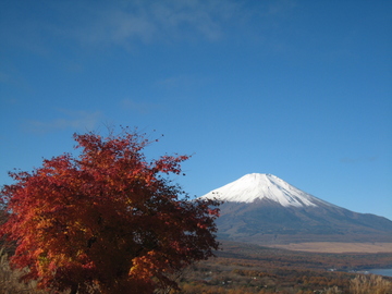 紅葉富士山 とびっきりさん