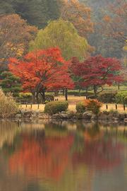 秋は紅葉が綺麗です。横浜とは思えないくらい su32fnさん