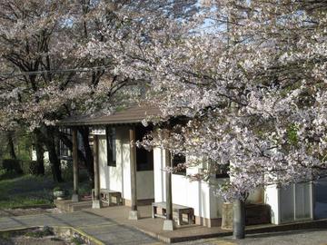 桜飾りの駅舎 ヤマトさん