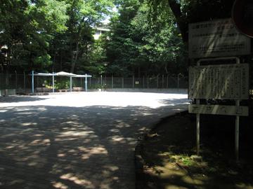 公園（東側） ヤマトさん