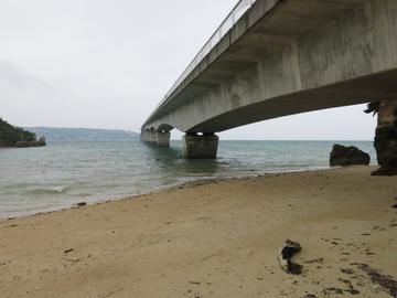 浜から見た橋 ヤマトさん