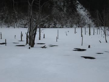 凍った湖（その３） hamuさん