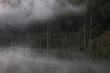 霧の自然湖 アイさん