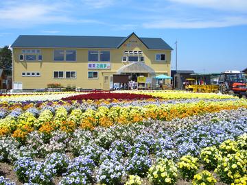 春から秋にかけて、広大な敷地に数十種類の花々を見ることができる展望スポット DriveNaviさん