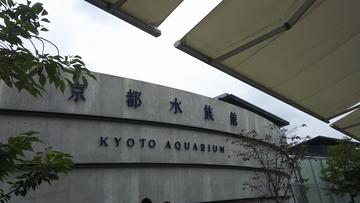 京都水族館 あきさん