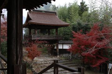 秋景色～その２ hamuさん