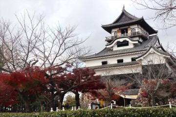 日本最古の城 くまさん