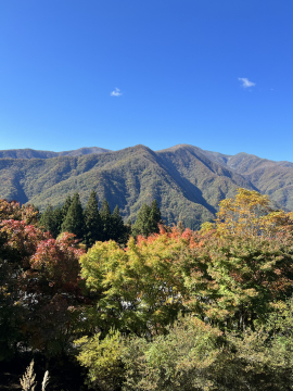 三峰神社からの景色 さやぴさん
